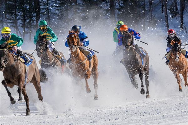 What does it mean to dream of horse racing? What does it mean to dream of horse racing?