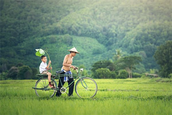 What does it mean to dream of pushing a bicycle? What does it mean to dream of pushing a bicycle?