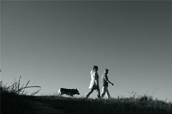What does it mean to dream of taking a walk? What does it mean to dream of taking a walk?