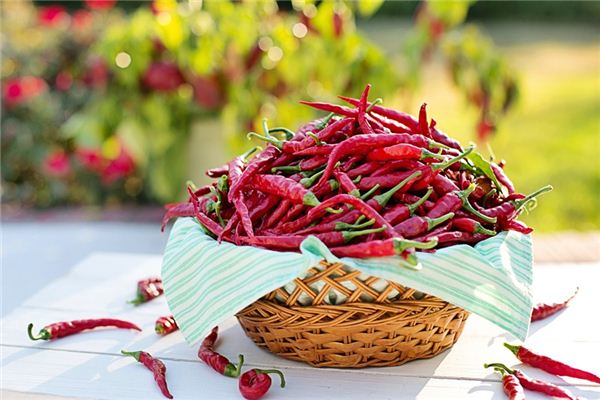 What does it mean to dream of picking chili peppers? What does it mean to dream of picking chili peppers?