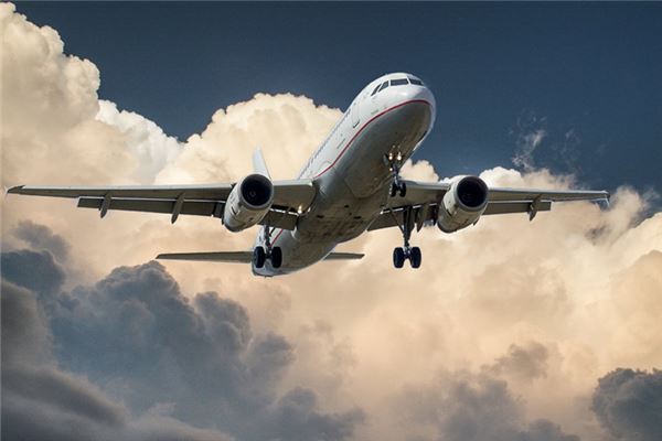 What does it mean to dream of missing your flight? What does it mean to dream of missing your flight?