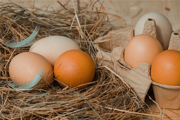 What does it mean to dream of finding eggs? What does it mean to dream of finding eggs?