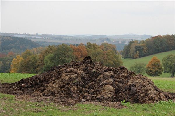 What does it mean to dream of carrying manure? What does it mean to dream of carrying manure?