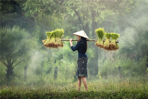 What does it mean to dream of being hardworking? What does it mean to dream of being hardworking?