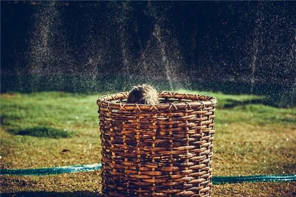 What does it mean to dream of playing hide-and-seek? What does it mean to dream of playing hide-and-seek?