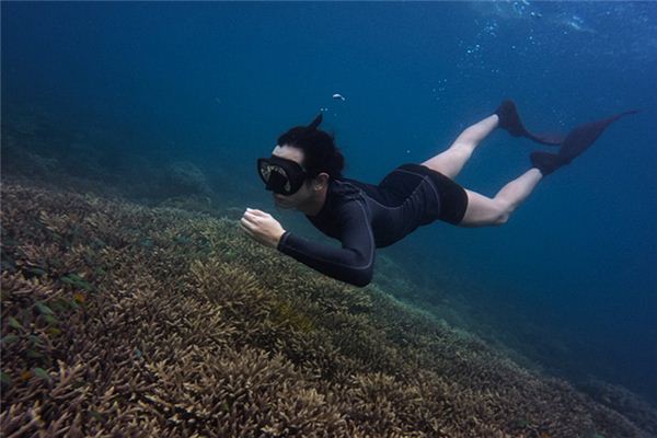 What does it mean to dream of diving? What does it mean to dream of diving?
