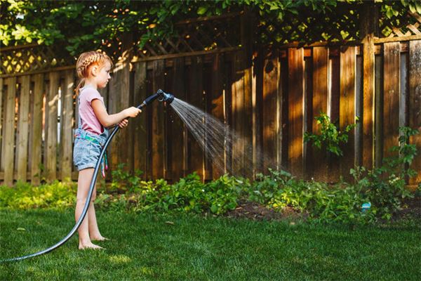 What does it mean to dream of watering the ground? What does it mean to dream of watering the ground?