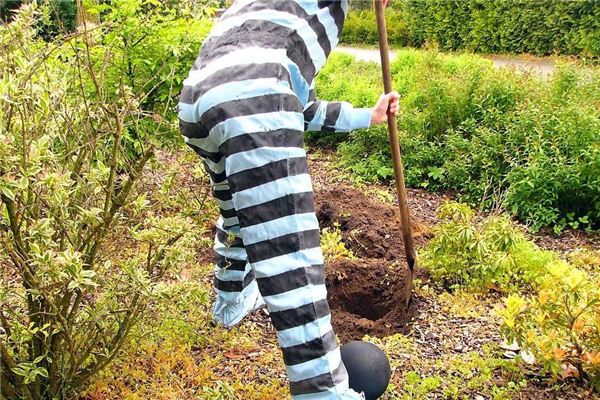 I dreamt that I dug up my uncle's grave with my mother.