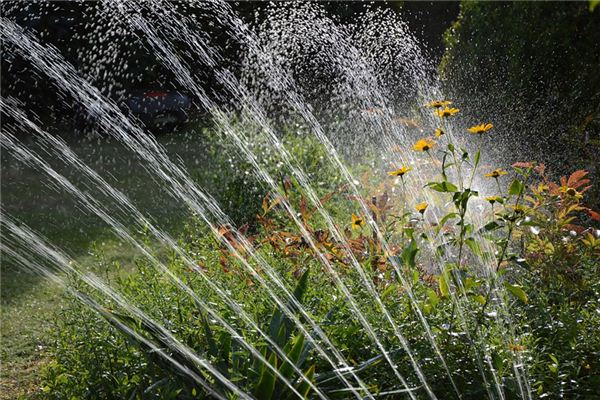 What does it mean to dream of irrigation? What does it mean to dream of irrigation?