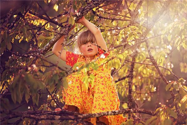 What does it mean to dream of climbing a tree? What does it mean to dream of climbing a tree?