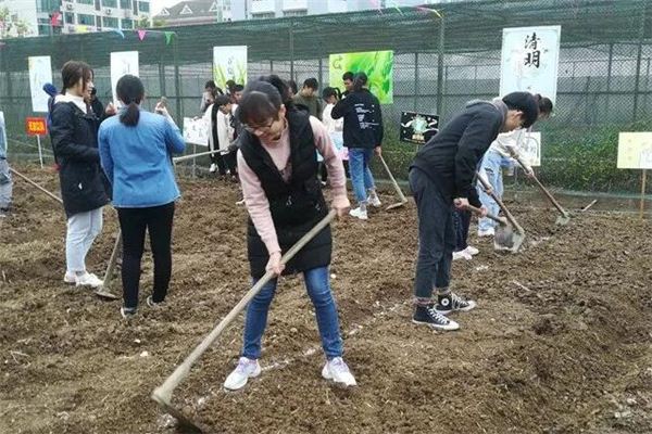Dreaming of digging and loosening the soil
