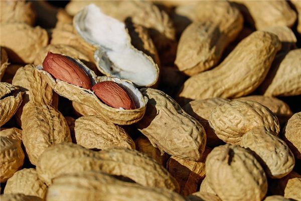 What does it mean to dream of planting peanuts? What does it mean to dream of planting peanuts?