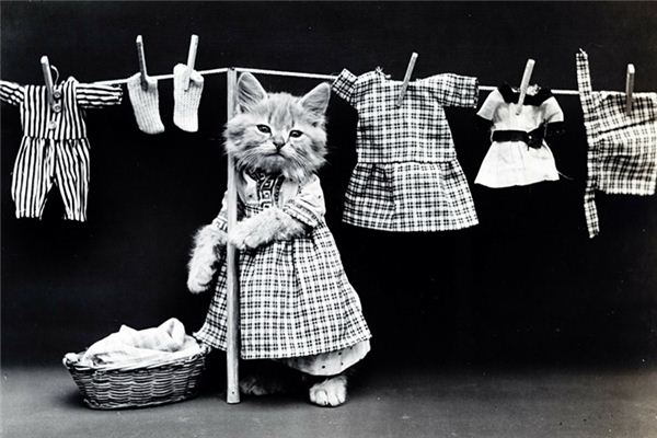 What does it mean to dream of packing clothes? What does it mean to dream of packing clothes?