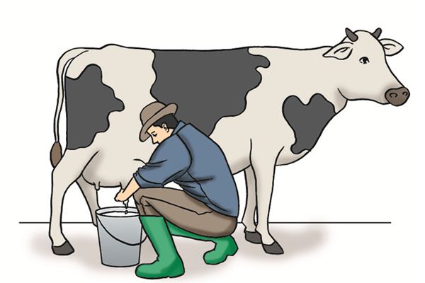 What does it mean to dream of milking? What does it mean to dream of milking?