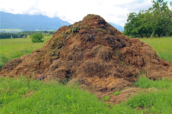 What does it mean to dream of composting? What does it mean to dream of composting?