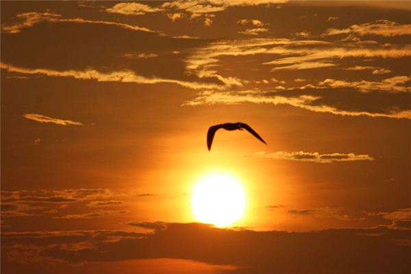 What does it mean to dream of flying? What does it mean to dream of flying?
