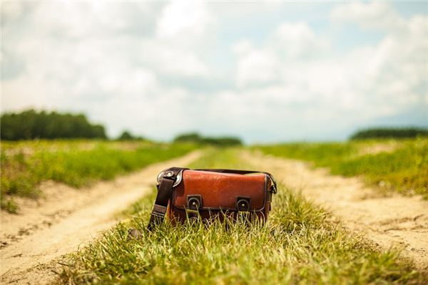 I dreamed that I lost my wallet. I dreamed that I lost my wallet.
