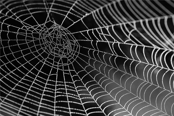 What does it mean to dream of a net that stretches from heaven to earth? What does it mean to dream of a net that stretches from heaven to earth?