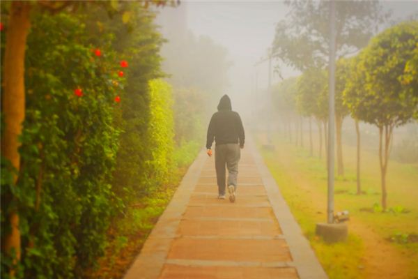 What does it mean to dream of being followed? What does it mean to dream of being followed?