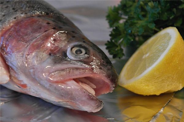 What does it mean to dream of eating fish heads?