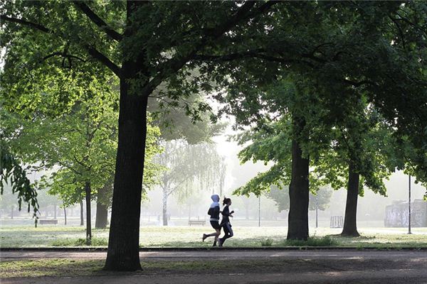 What does it mean to dream of not being able to run? What does it mean to dream of not being able to run?