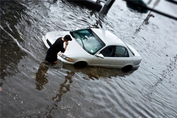 I dreamt that my husband drove his car into a pond.