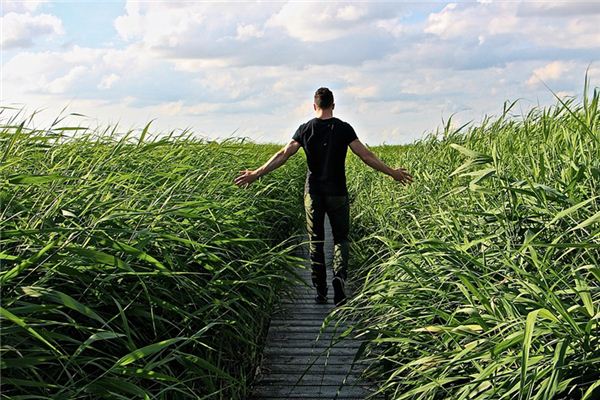 What does it mean to dream of walking against the wind? What does it mean to dream of walking against the wind?