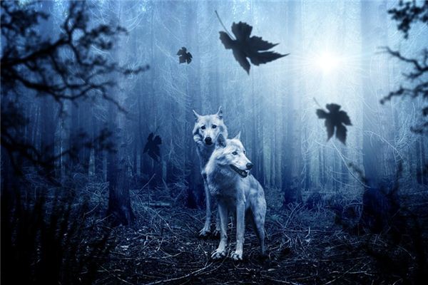 What does it mean to dream of being chased by wolves?