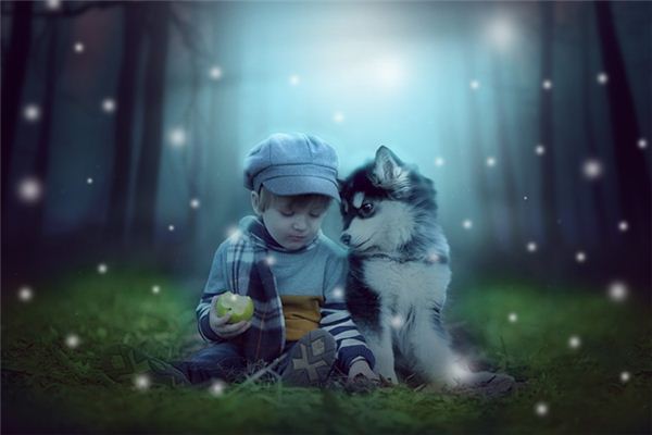 What does it mean to dream of looking for a child? What does it mean to dream of looking for a child?