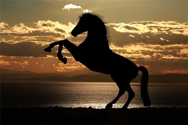 What does it mean to dream of a big horse? What does it mean to dream of a big horse?