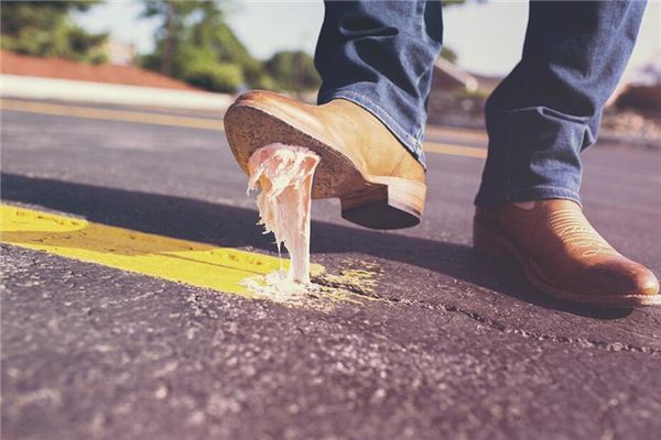 What does it mean to dream of stepping in cat poop? What does it mean to dream of stepping in cat poop?