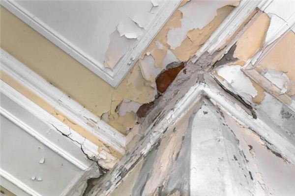 I dreamed that the ceiling was leaking.