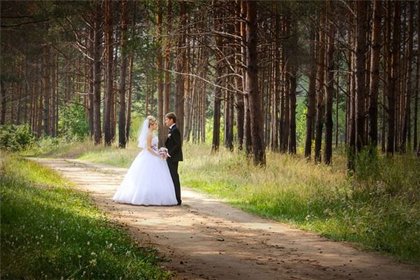 What does it mean to dream of marrying a wife? What does it mean to dream of marrying a wife?