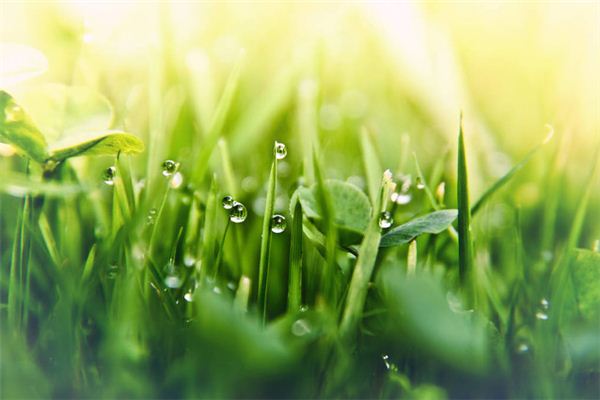 I dreamed that my body was wet with dew.