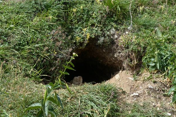 What does it mean to dream of digging a hole? What does it mean to dream of digging a hole?
