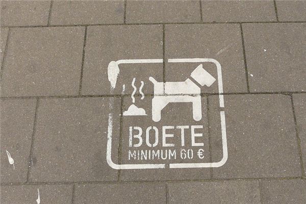 What does it mean to dream of eating dog poop? What does it mean to dream of eating dog poop?