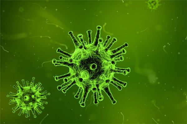 What does it mean to dream about bacteria? What does it mean to dream about bacteria?