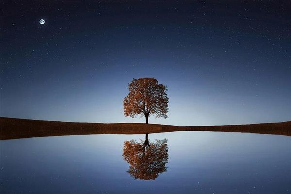 I dreamt of gazing at the stars at dawn. I dreamt of gazing at the stars at dawn.
