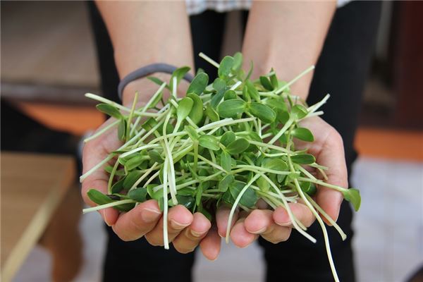 What does it mean to dream of buying bean sprouts? What does it mean to dream of buying bean sprouts?
