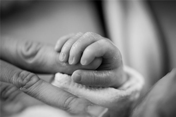 What does it mean to dream of midwifery? What does it mean to dream of midwifery?