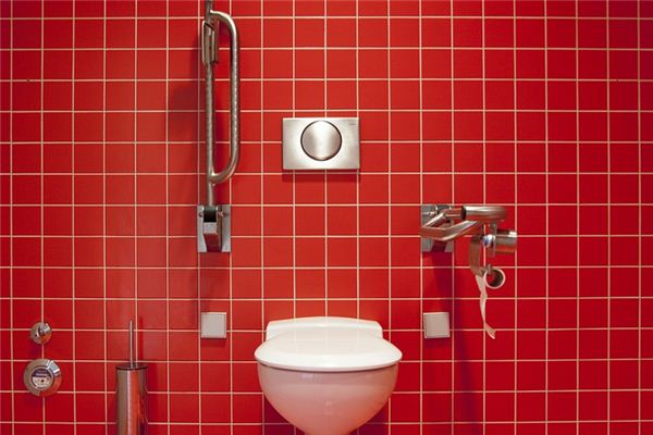 What does it mean to dream of a clogged toilet? What does it mean to dream of a clogged toilet?