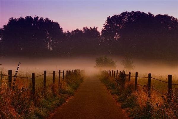 What does it mean to dream of building a fence? What does it mean to dream of building a fence?