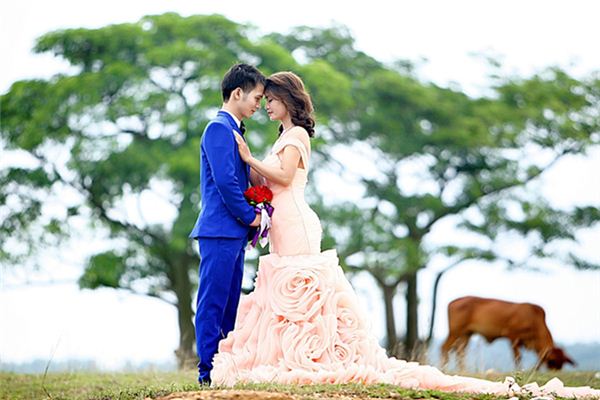 What does it mean to dream of taking wedding photos? What does it mean to dream of taking wedding photos?