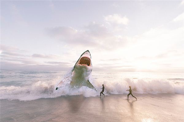 What does it mean to dream of being eaten by fish? What does it mean to dream of being eaten by fish?