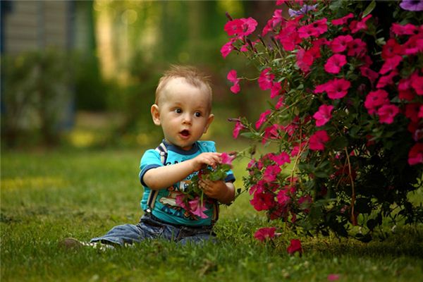 What does it mean to dream of picking up a child? What does it mean to dream of picking up a child?