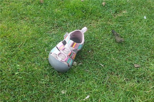 What does it mean to dream of losing shoes? What does it mean to dream of losing shoes?