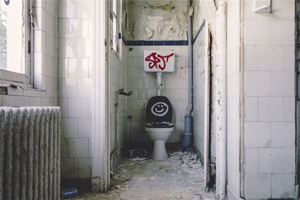 What does it mean to dream of a leaky toilet? What does it mean to dream of a leaky toilet?
