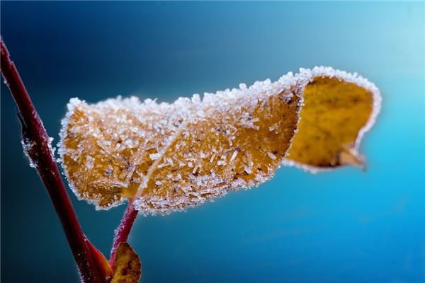 What does it mean to dream of being covered in frost? What does it mean to dream of being covered in frost?