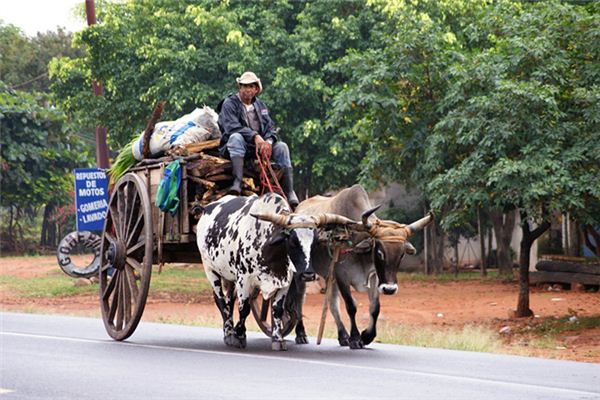 What does it mean to dream of riding in an oxcart? What does it mean to dream of riding in an oxcart?