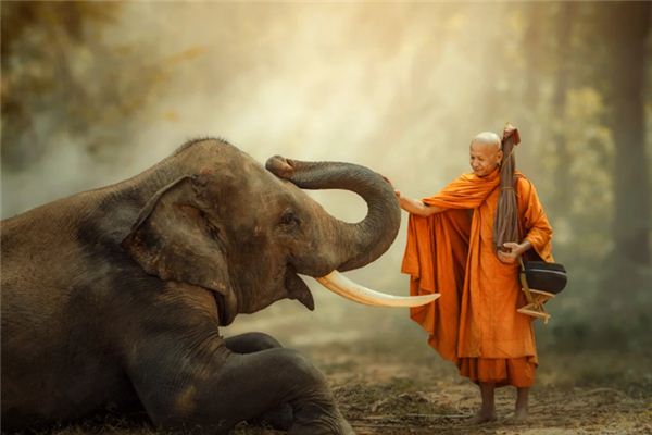 What does it mean to dream of giving alms? What does it mean to dream of giving alms?